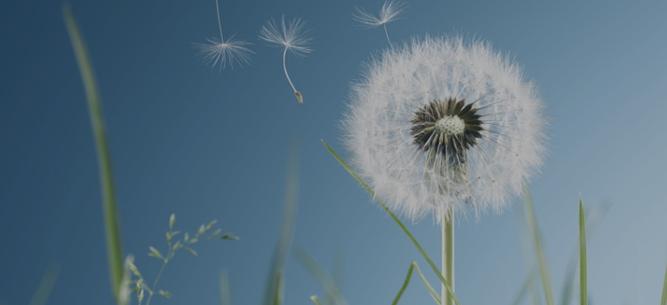 J9集团·(中国)首页